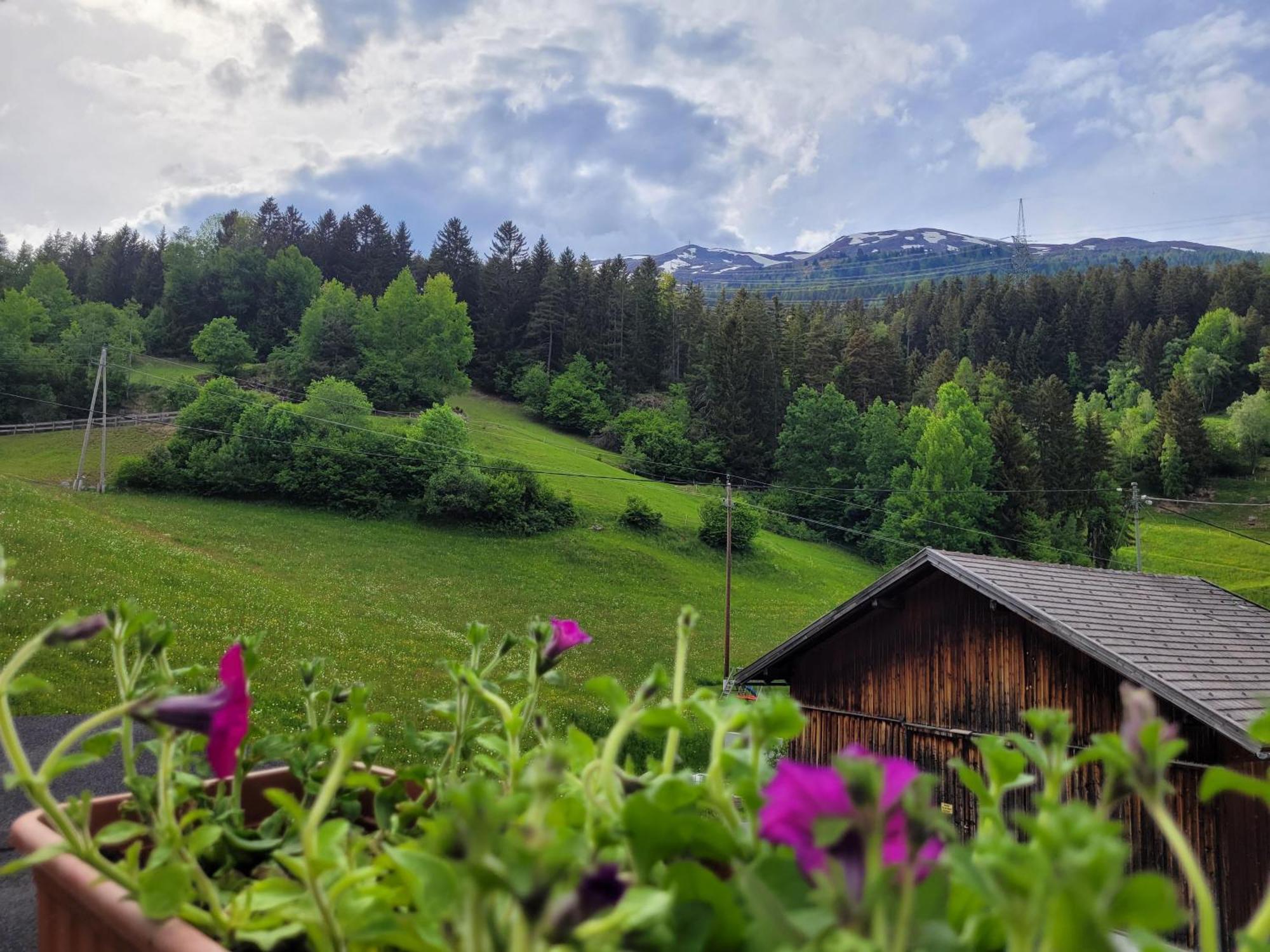 Apartment Waldnah Wenns Kültér fotó